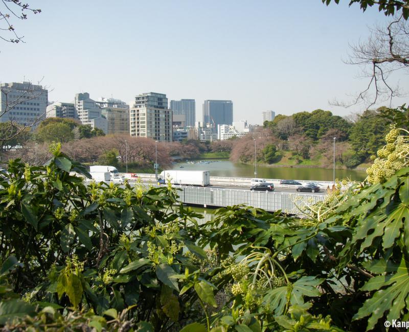 Chidorigafuchi in Tokyo, View on the urban traffic Chidorigafuchi in Tokyo, View on the urban traffic