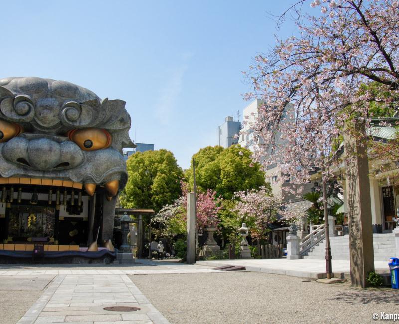 Namba Yasaka-jinja (Osaka), Ema-den lion head-shaped building and blooming cherry trees in spring