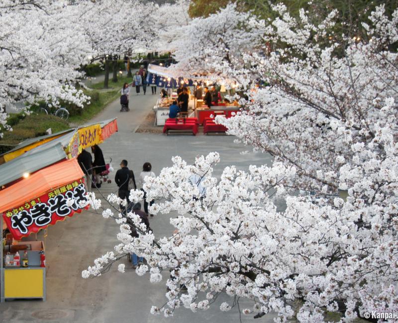 Kema Sakuranomiya Park in Osaka, Food stalls under the cherry trees Kema Sakuranomiya Park in Osaka, Food stalls under the cherry trees