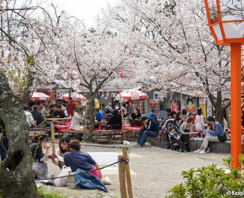 Maruyama Park (Kyoto), Food stalls in spring Maruyama Park (Kyoto), Food stalls in spring