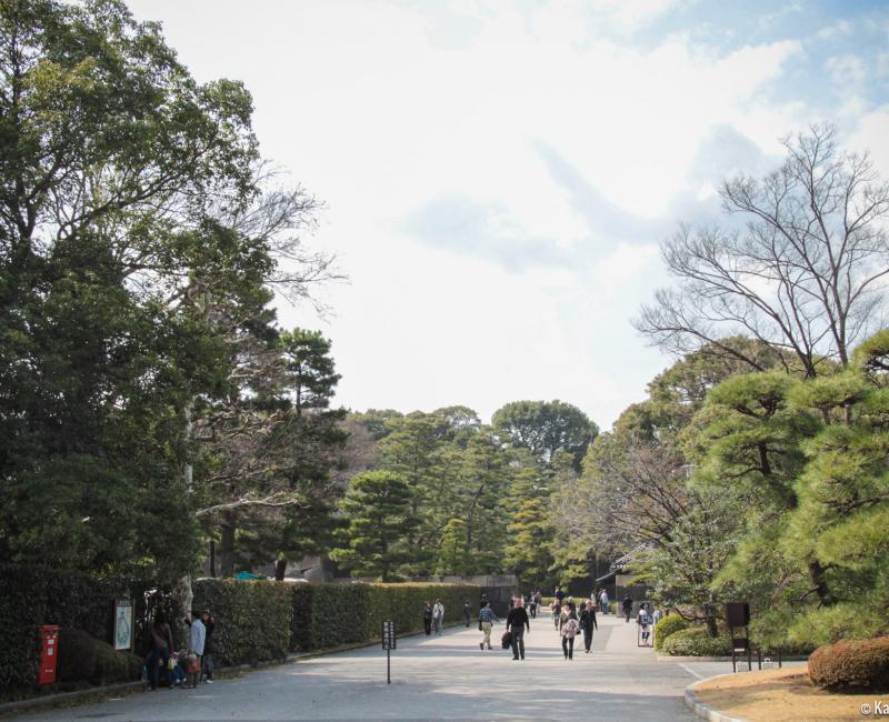 Kokyo Tokyo Imperial Palace, View of the Outer garden Kokyo Tokyo Imperial Palace, View of the Outer garden