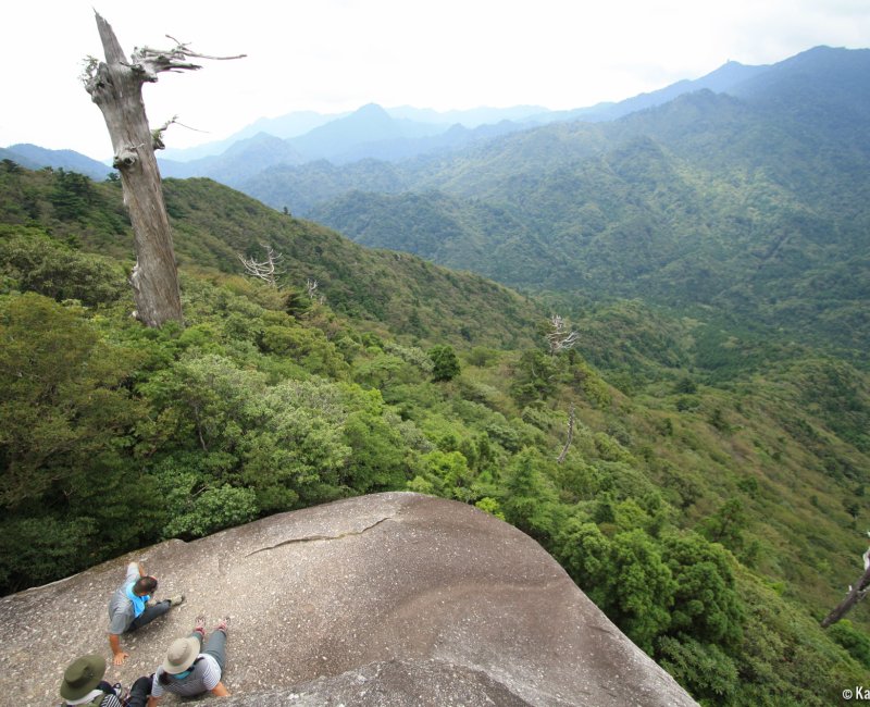 Yakushima - The Mystical Island