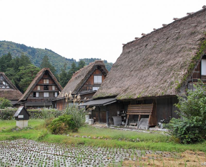 Shirakawa-go, View on the rice fields and thatched roofed houses 2 Shirakawa-go, View on the rice fields and thatched roofed houses 2