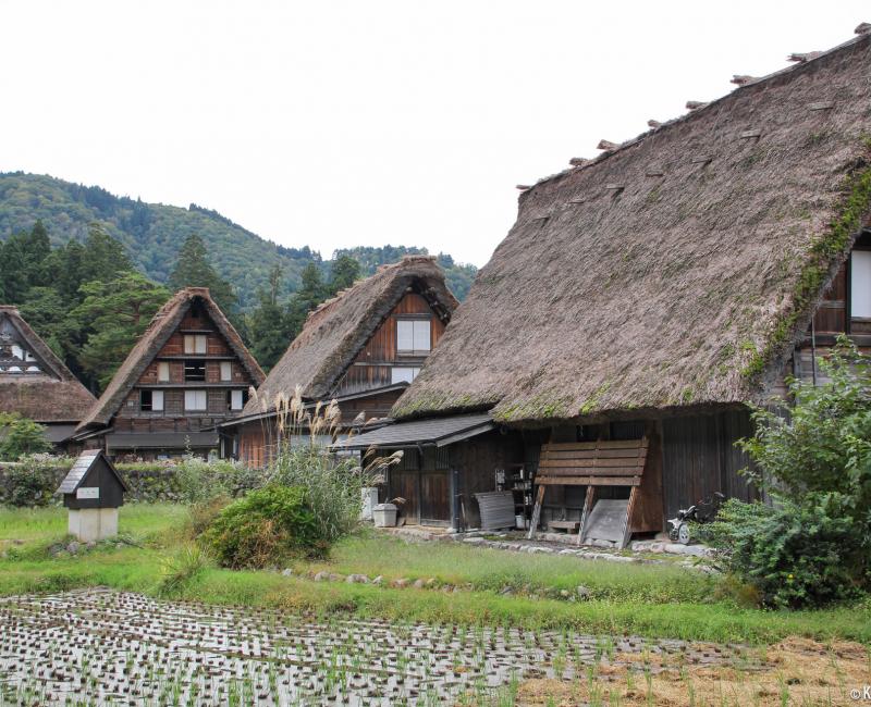 Shirakawa-go, View on the rice fields and thatched roofed houses 2