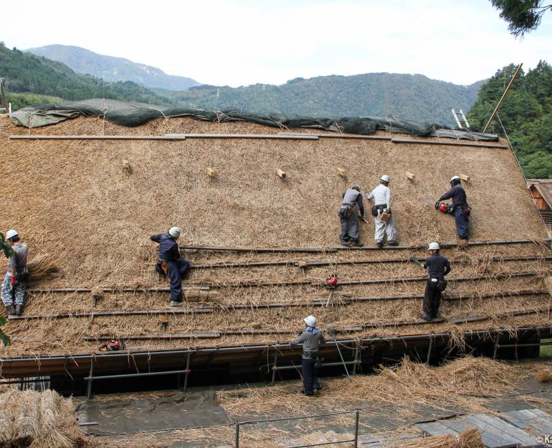 Shirakawa-go, Renovation works of a thatched roof