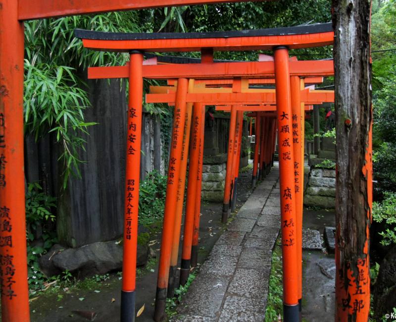 Nezu-jinja (Tokyo), Senbon-Torii tunnel 2