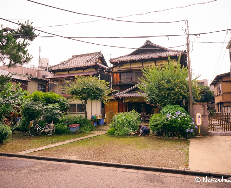 Yanaka (Tokyo), Traditional street of the district 2