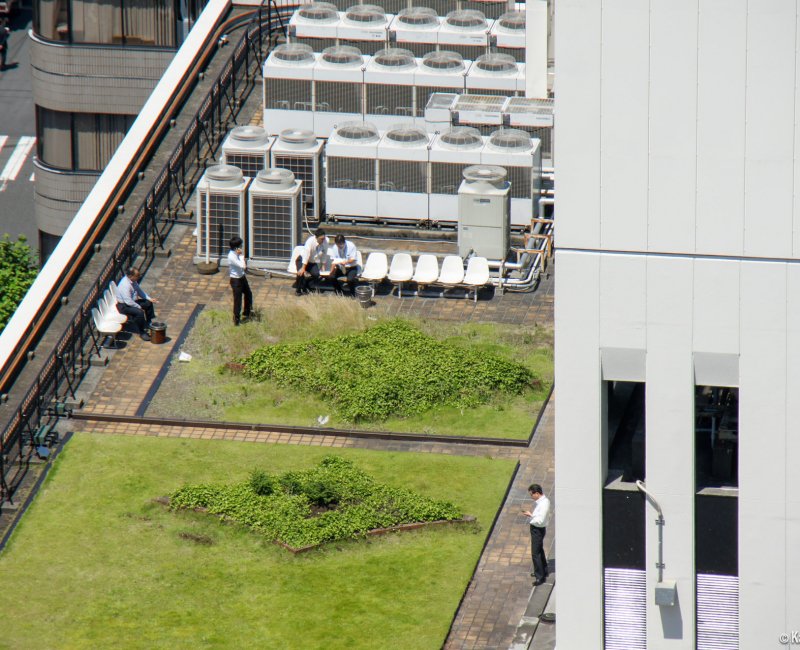 Salary-men taking a break on a rooftop in Tokyo Salary-men taking a break on a rooftop in Tokyo