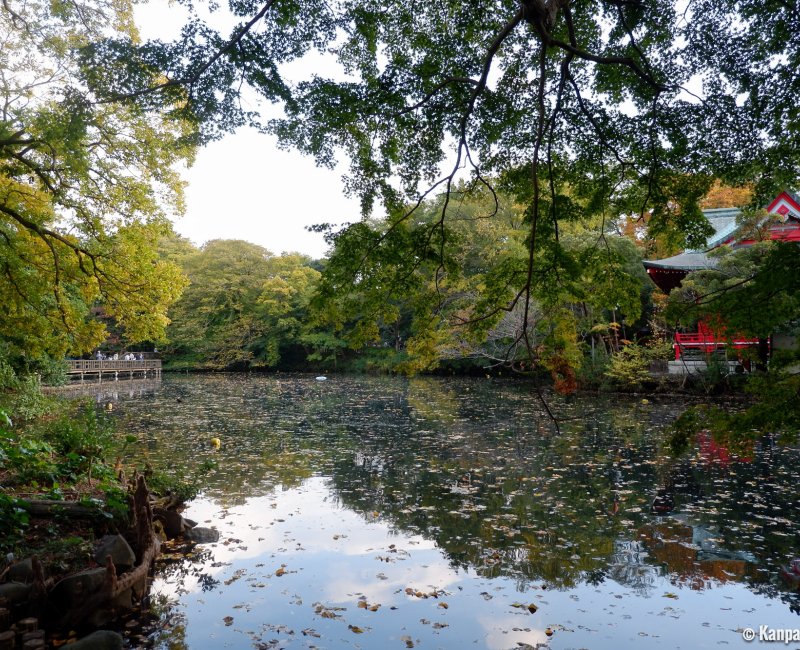 Inokashira Park in Kichijoji 2 Inokashira Park in Kichijoji 2