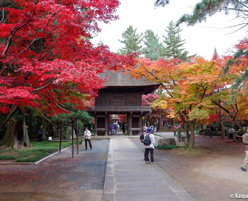 Heirin-ji Temple, Saitama, Sanmon Gate and Red maple trees alleyway during koyo 2