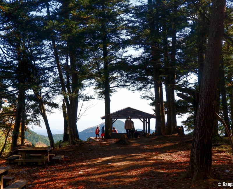 Mount Mitake, Hiking trail 3 Mount Mitake, Hiking trail 3