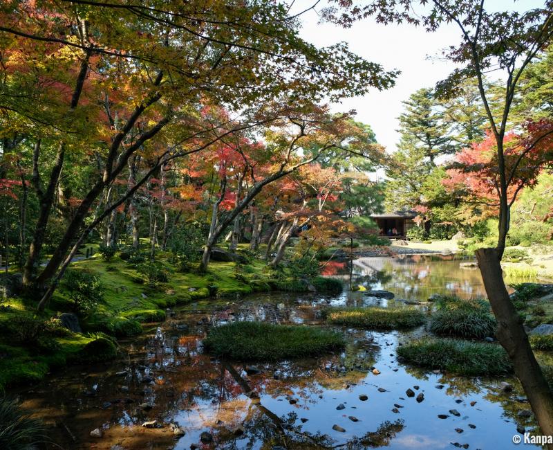 日本の庭 AN APPROACH TO NATURE Shinrin-Yoku | The Forest as Therapy | JAPAN HOUSE Los Angeles