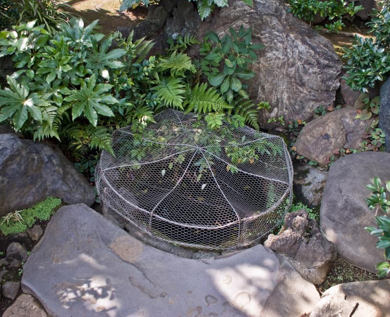 Sengaku-ji, Well Sengaku-ji, Well