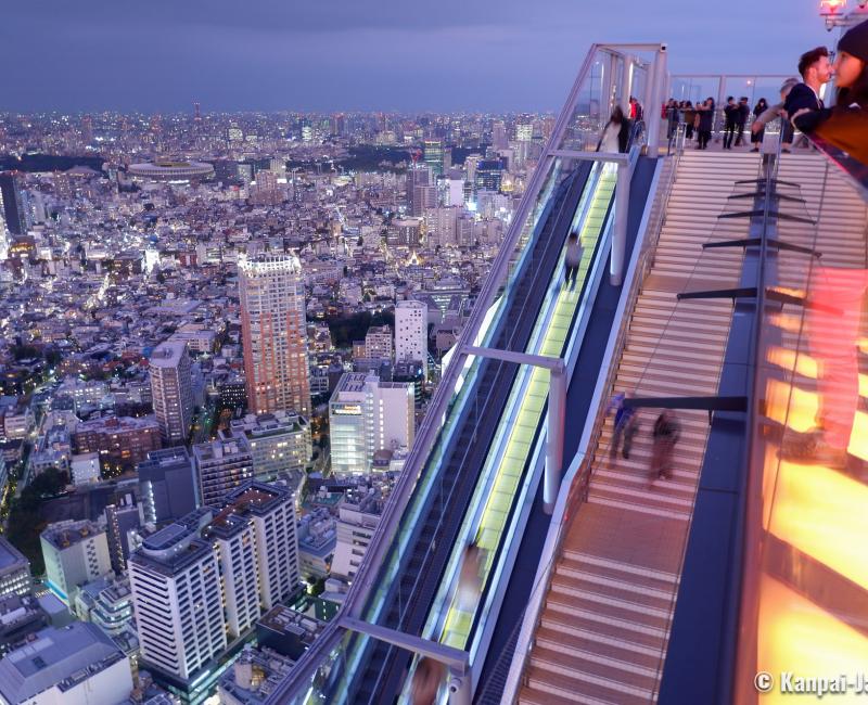 Selain Hachiko, Ini Dia Rekomendasi Tempat Main di Shibuya Red Momiji