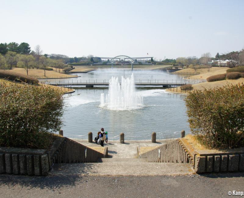 Hitachi Seaside park (Ibaraki) 7