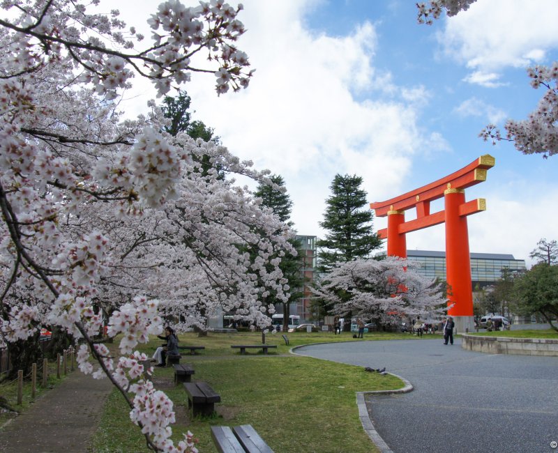 Okazaki Canal, Heian-jingu shrine great torii Okazaki Canal, Heian-jingu shrine great torii