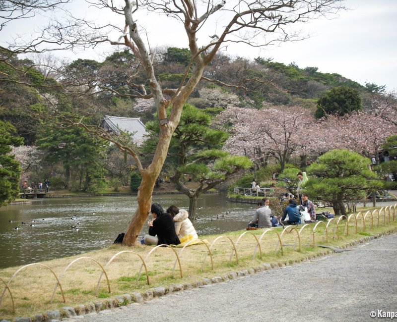 Sankei-en Garden, Yokohama, The Pond 3