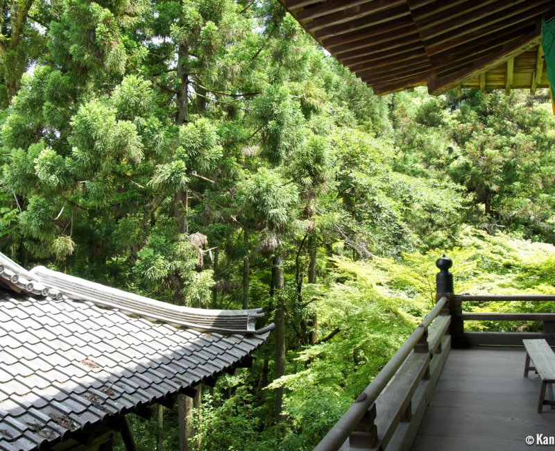 Ishiyama-dera (Otsu, Shiga), View on the forest from the temple's pavilions