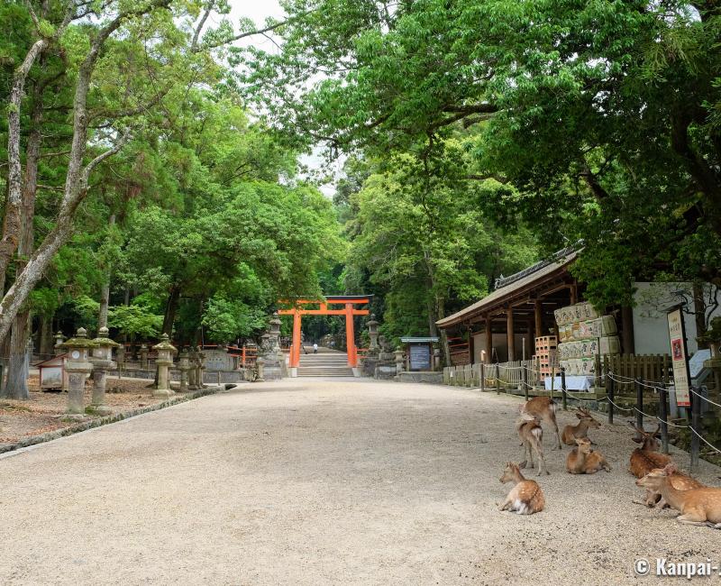 Kasuga Taisha, Nara during Coronavirus Outbreak in June 2020 (2) Kasuga Taisha, Nara during Coronavirus Outbreak in June 2020 (2)