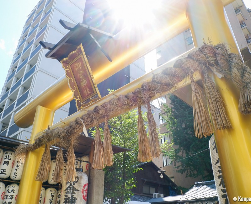 Mikane-jinja in Kyoto, Golden torii gate 2