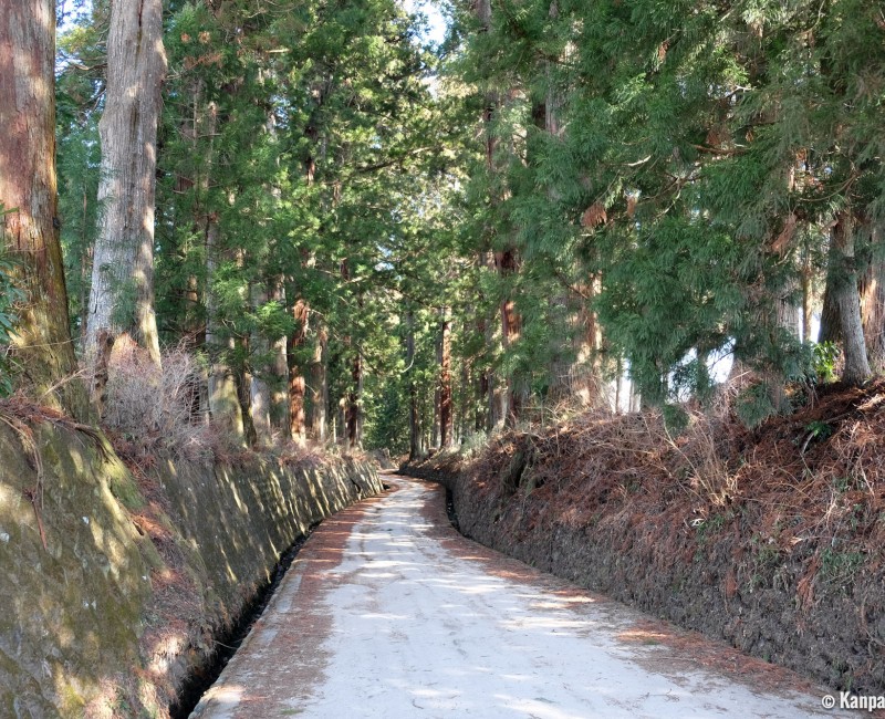 Nikko, Suginamiki Park 2