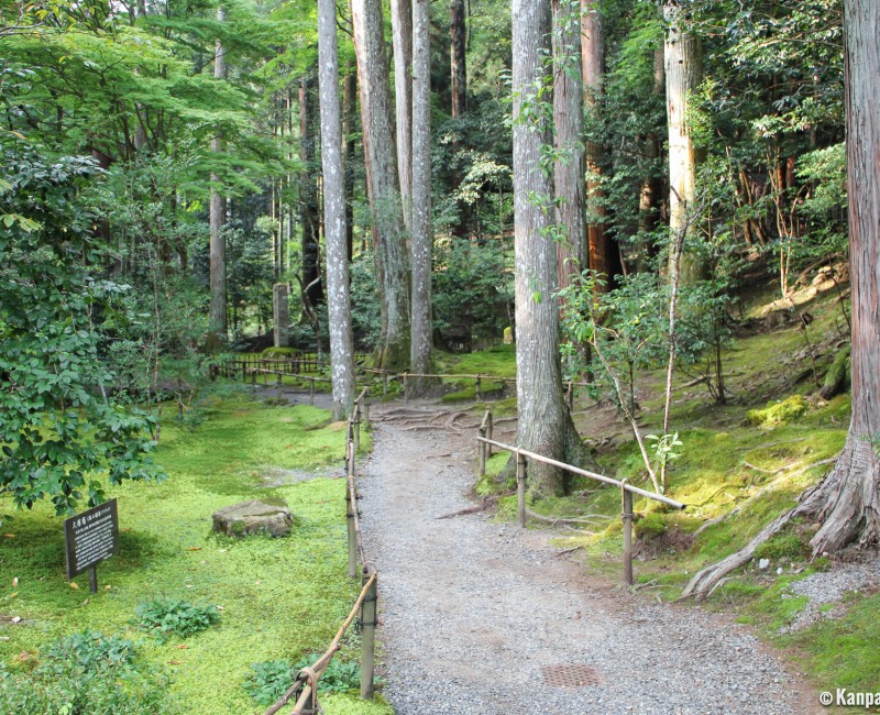Ohara, Forest trail in Jakko-in Ohara, Forest trail in Jakko-in