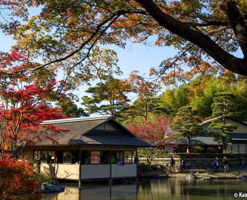 Showa Memorial Park (Tokyo), Japanese garden 2