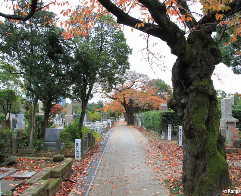Aoyama Cemetery (Tokyo) in autumn 2 Aoyama Cemetery (Tokyo) in autumn 2
