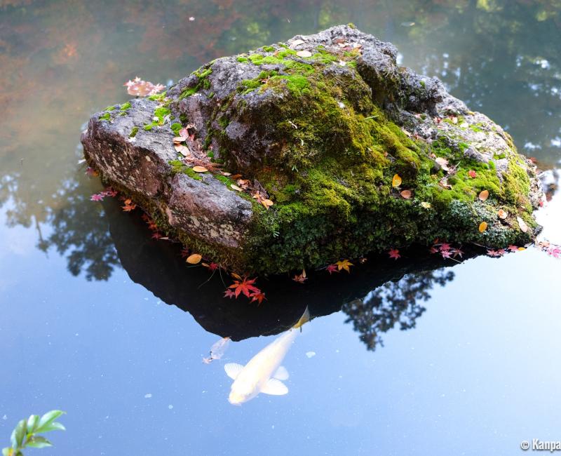 Tenju-an (Kyoto), Carp pond
