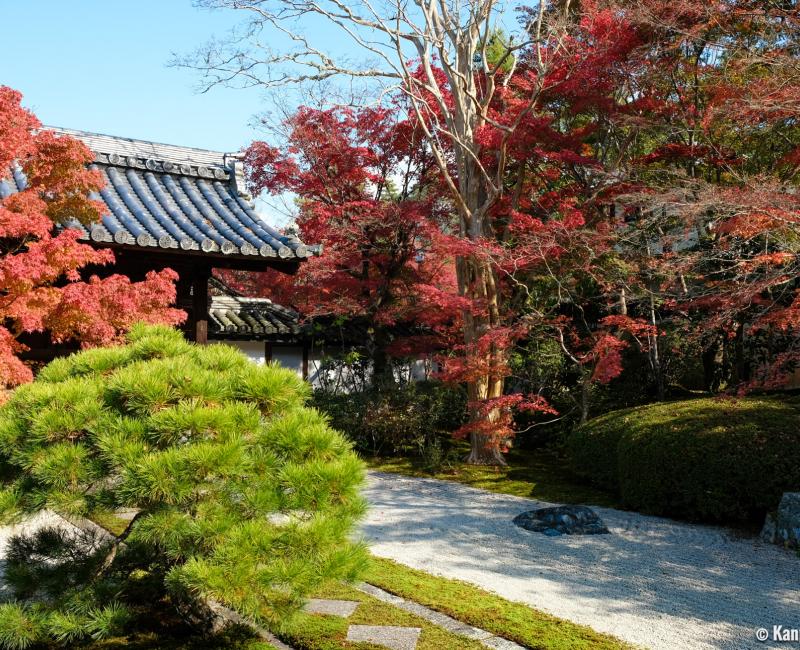 Tenju-an (Kyoto), karesansui garden in autumn 3