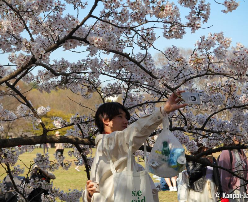 Yoyogi Park (Tokyo), visitor with personal trash bag after picnic under the cherry trees