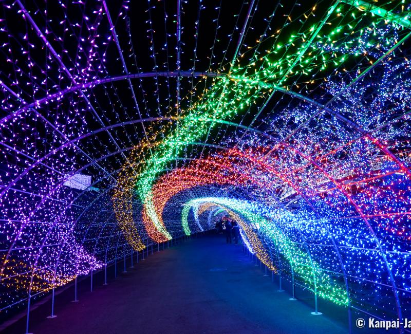 Yomiuriland, Illuminated tunnel in winter Yomiuriland, Illuminated tunnel in winter