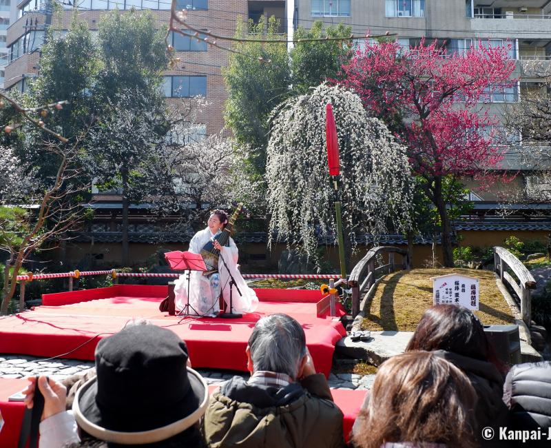 Yushima Tenman-gu (Tokyo), Traditional music concert during Ume Matsuri