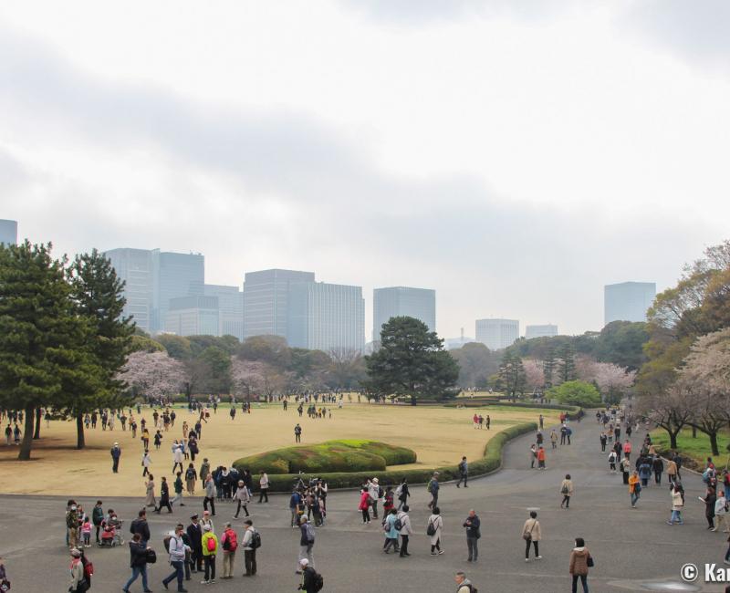 皇居東御苑を英語で説明 The Imperial Palace East Gardens