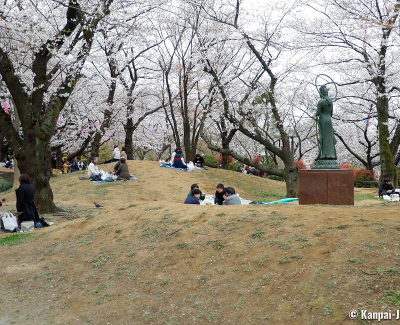 Asukayama Park, Visitors having lunch under the cherry trees Asukayama Park, Visitors having lunch under the cherry trees