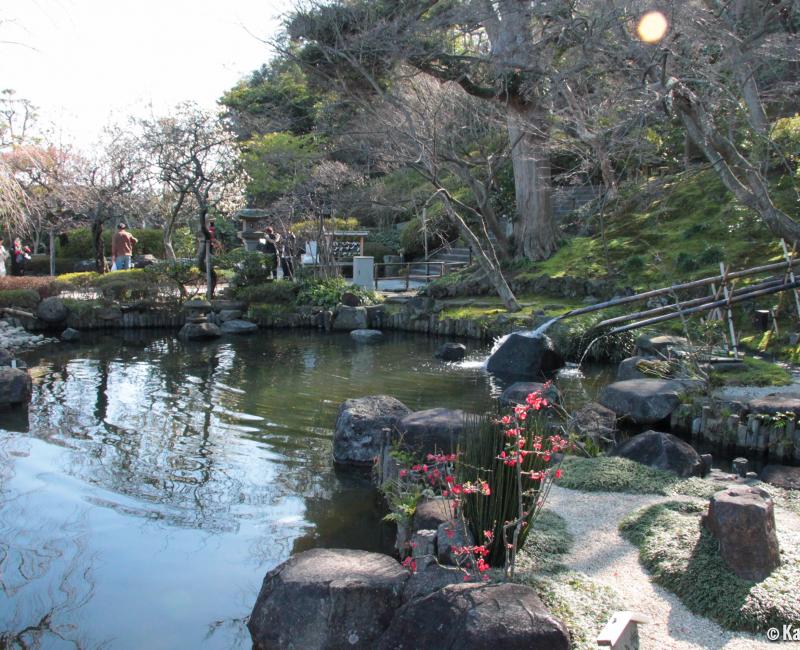Hase-dera (Kamakura), Japanese garden Hase-dera (Kamakura), Japanese garden