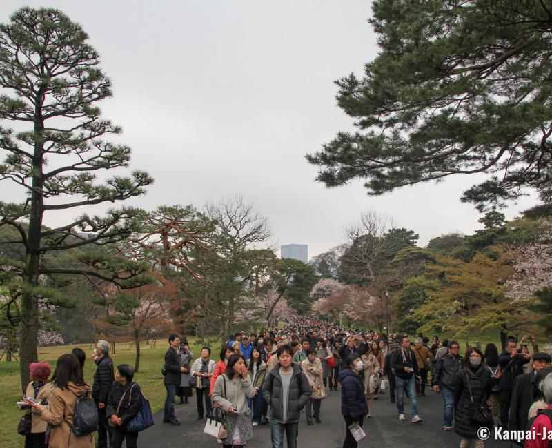 Inui-dori, View on the alley 2