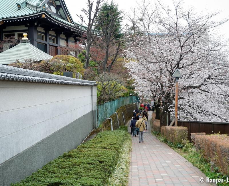 Shakujii-gawa (Tokyo), Walking path on the river bank Shakujii-gawa (Tokyo), Walking path on the river bank