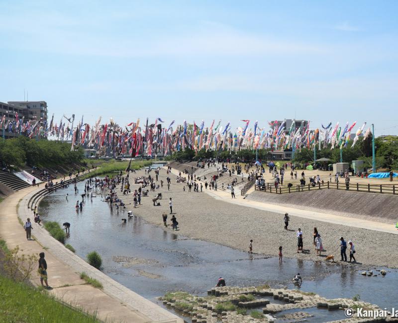 Takatsuki (Osaka), koi nobori kites above Akuta River in Akutagawa Sakurazutsumi Park 2 Takatsuki (Osaka), koi nobori kites above Akuta River in Akutagawa Sakurazutsumi Park 2