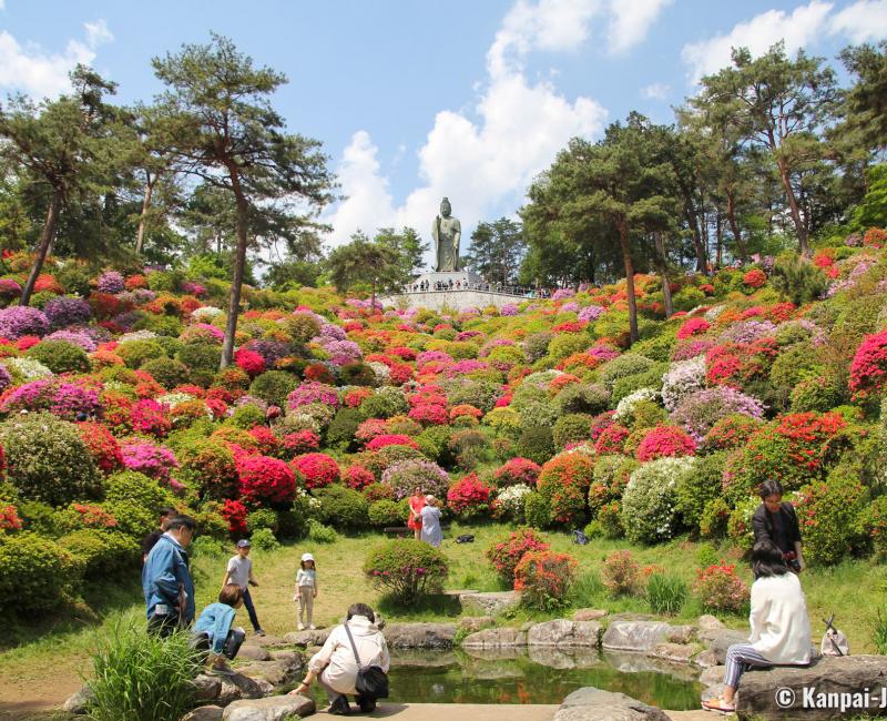 Kannon statue and small pond in Shiofune Kannon-ji temple in Ome