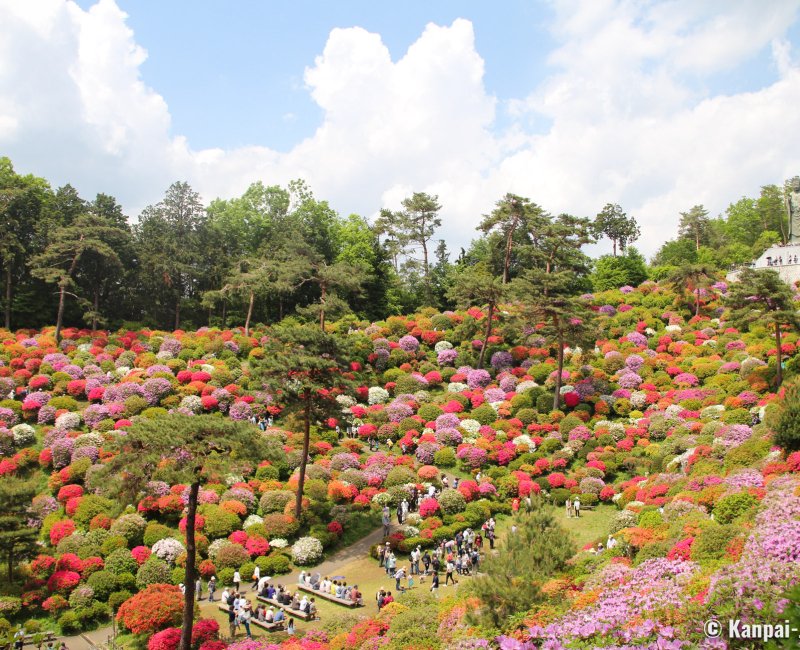Shiofune Kannon-ji (Ome), View on the temple's azaleas in late April