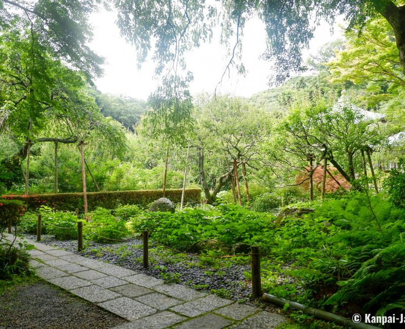Zuisen-ji (Kamakura), Cultivated plots