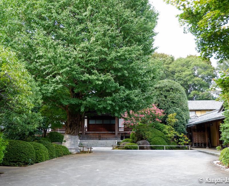 Koenji (Tokyo), Shukuhozan-Koenji temple