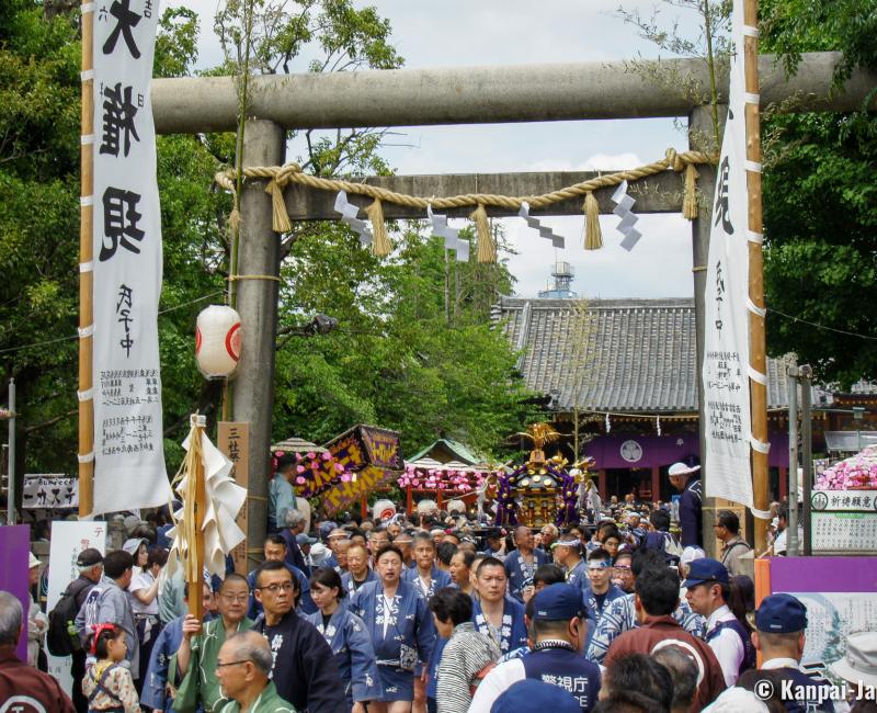Sanja Matsuri (Tokyo), Mikoshi procession in Asakusa-jinja's grounds