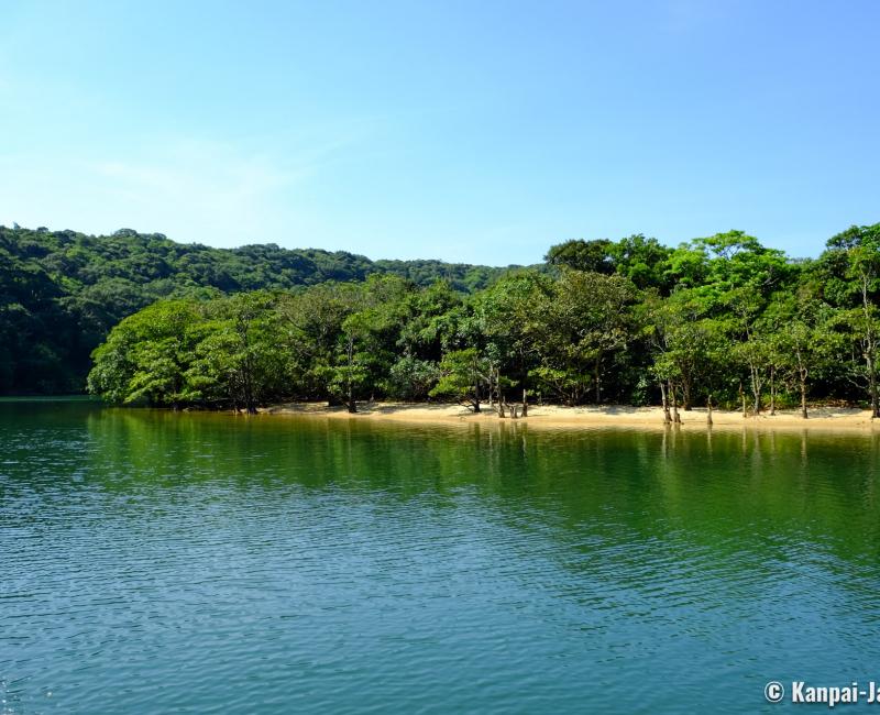 Iriomote (Yaeyama - Okinawa), View on Urauchi River and the mangrove 2 Iriomote (Yaeyama - Okinawa), View on Urauchi River and the mangrove 2