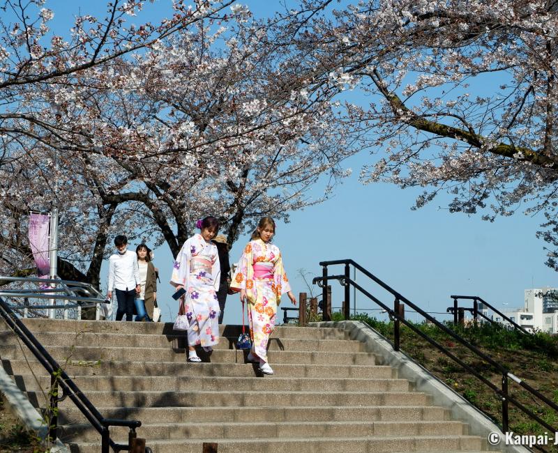 Yukata rental and stroll near the Sumida River in Tokyo Yukata rental and stroll near the Sumida River in Tokyo
