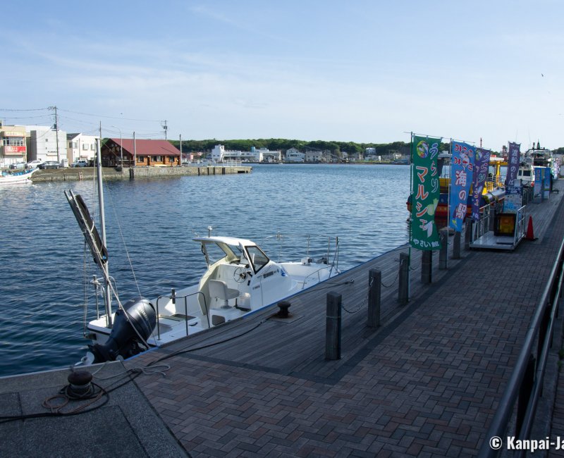 Miura, Fishing and leisure boats in Misaki Port Miura, Fishing and leisure boats in Misaki Port