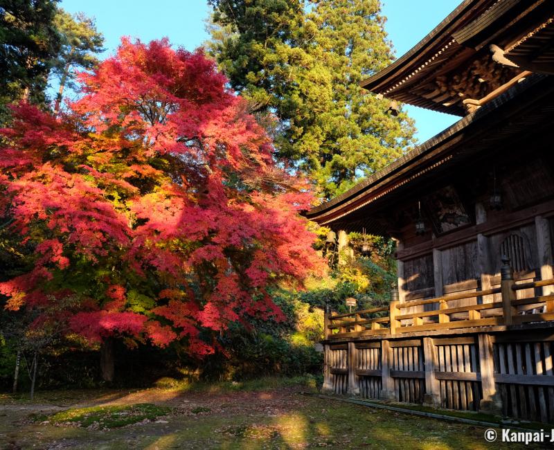 Oku Aizu (Yanaizu), Pavilion Enzo-ji temple and red maple tree in autumn Oku Aizu (Yanaizu), Pavilion Enzo-ji temple and red maple tree in autumn