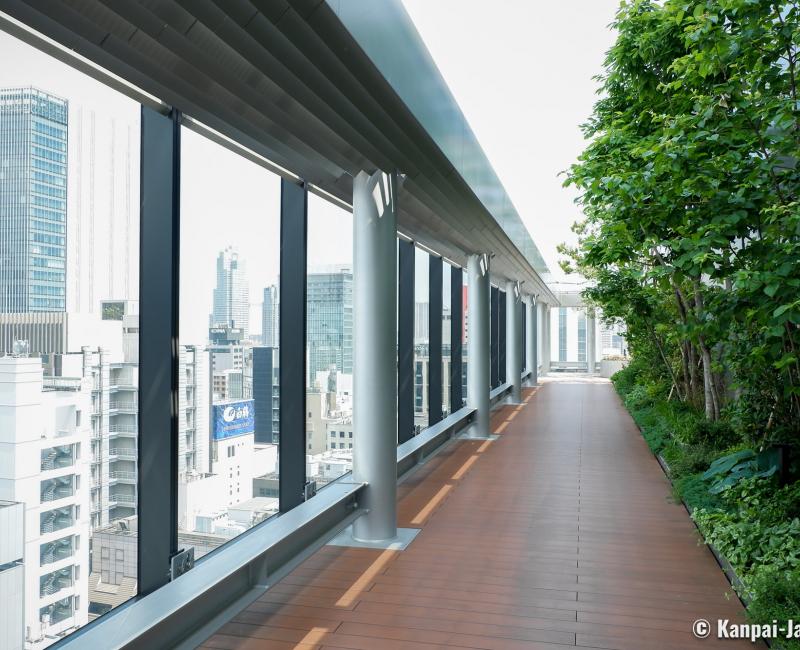 Ginza Six Garden, Garden and rooftop observatory 2