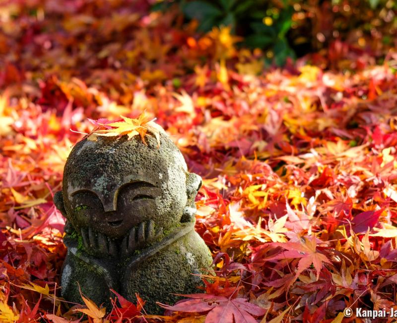 Enko-ji - The Zen Beauty on the Heights of Kyoto